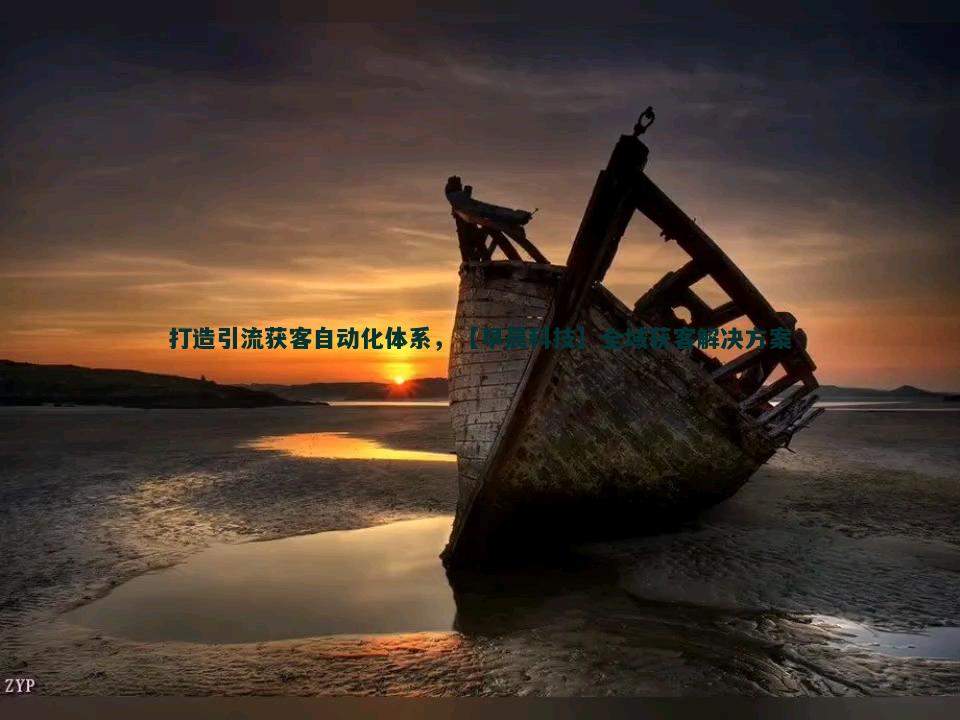 优惠券与促销活动：自建网站流量获客秘籍