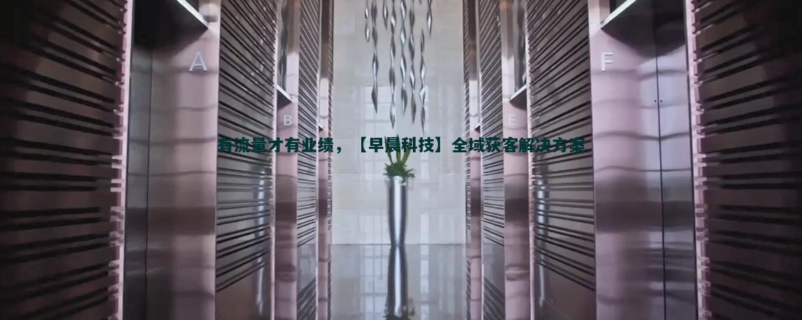 网络安全保障下的流量获客